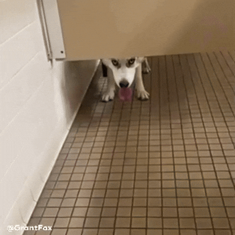 Stare Eye Contact GIF