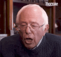 Feel The Bern Bernie 2020 GIF by Bernie Sanders