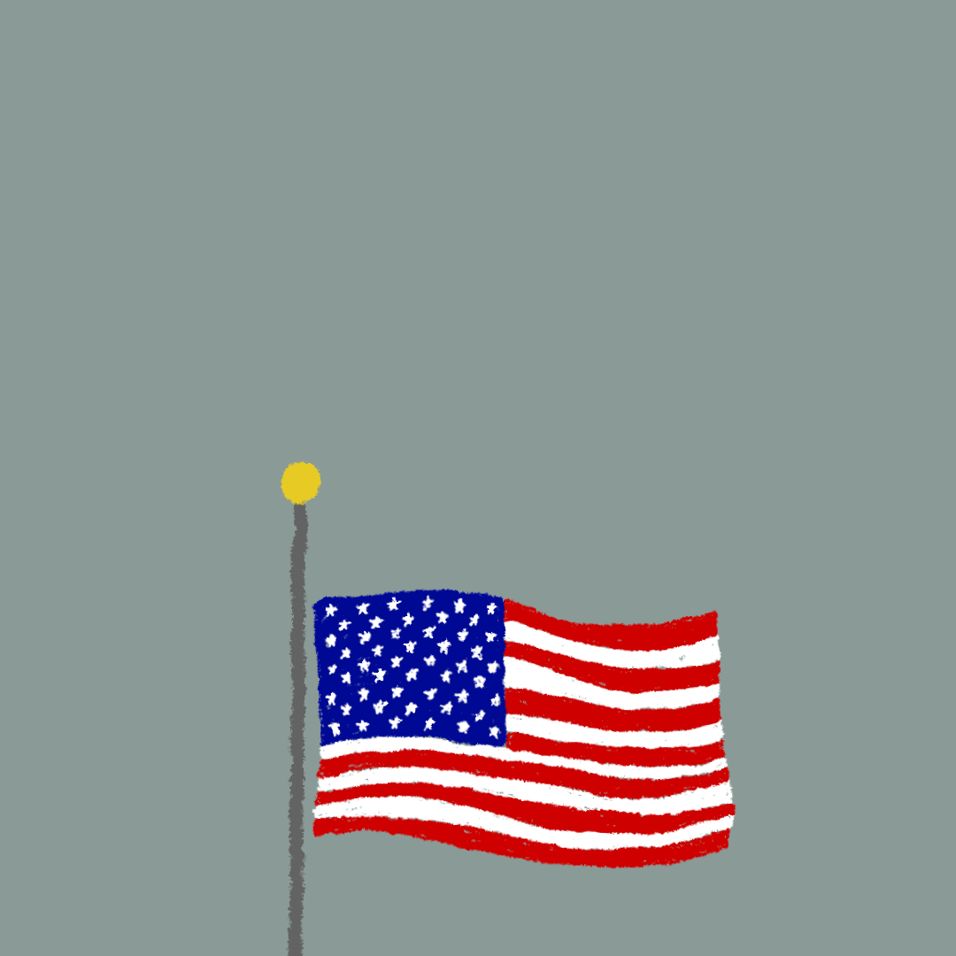 American Flag GIF by INTO ACTION Find & Share on GIPHY