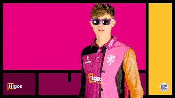 Wicket GIF by Somerset County Cricket Club