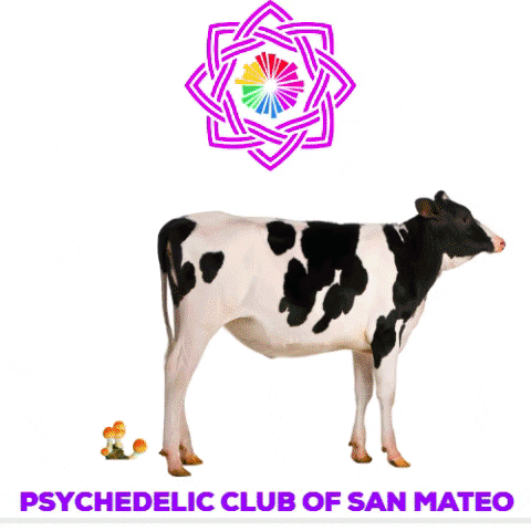 Psychedelic Club of San Mateo GIF