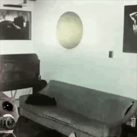 Camera Pictures GIF by Sad Hamster