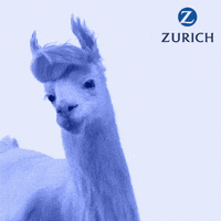 Horse Unicorn GIF by Zurich Insurance Company Ltd