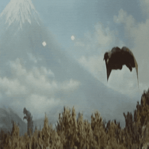 Film GIF