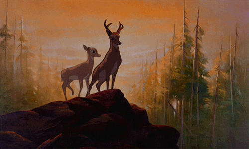 https://media3.giphy.com/media/Jr2FfNmp7S2qc/giphy.gif?cid=ecf05e47qpcpjyrkj6yc0xx5cxco4xte11ywkm5vz7cz0yte&rid=giphy.gif&ct=g