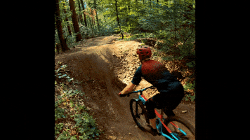 mount7 GIF