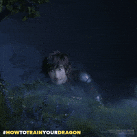 hiccup why would you do that gif