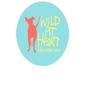 Wildatheartfoundation Sticker