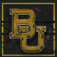 Baylor Bears Football GIF by Baylor Athletics