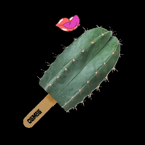 OleMole tacos cactus burritos picante GIF