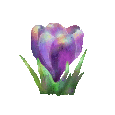 Blooming Spring Flower Sticker