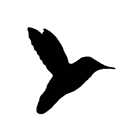 We are Hummingbird Sticker