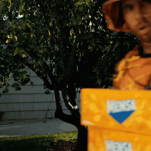 Orange Tree Pop GIF by Vic Mensa