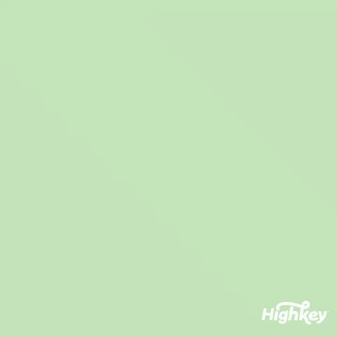 Chocolate Mint Cookie GIF by HighKey