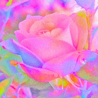 Lisa Frank Love GIF by Anne Lee