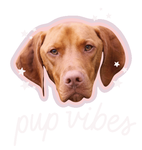 Luna Love Energy Sticker