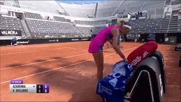 Venus Williams Wta GIF by Tennis Channel