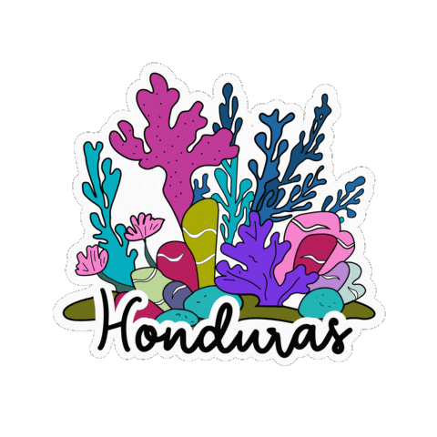 Catracho Mar Sticker by Visit Honduras