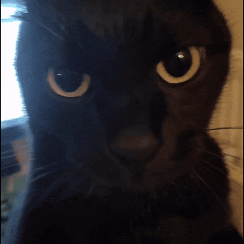 Weewee GIF