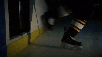 Hockey Skate GIF by Sarnia Sting