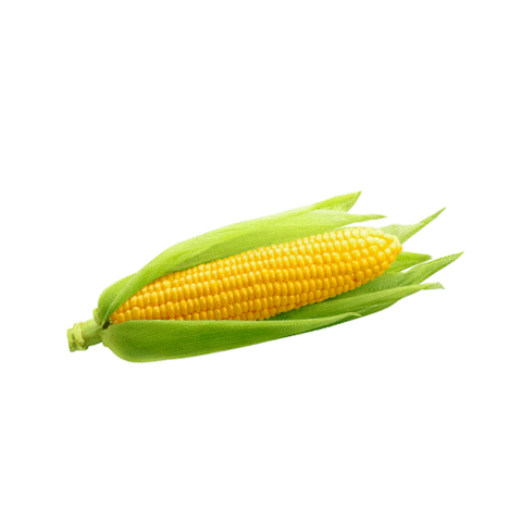 Westfälisch-Lippischer Landwirtschaftsverband e.V. Sticker