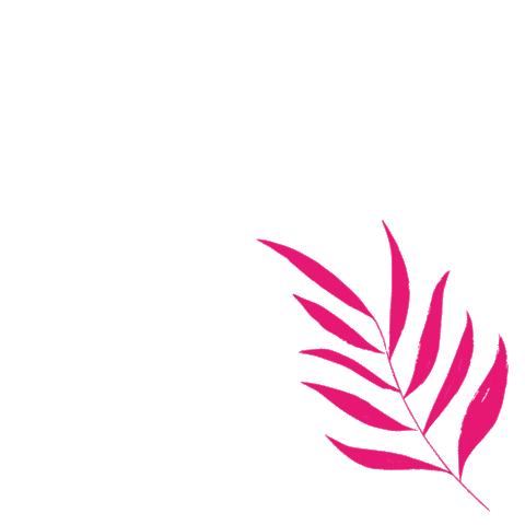 Rainbow Color Sticker by Van Asten Babysuperstore Tilburg