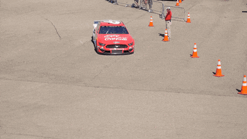 michigan international speedway sport GIF by NASCAR