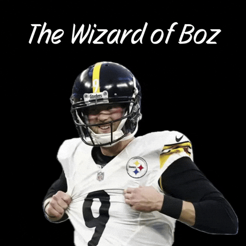 Pittsburgh Steelers GIF