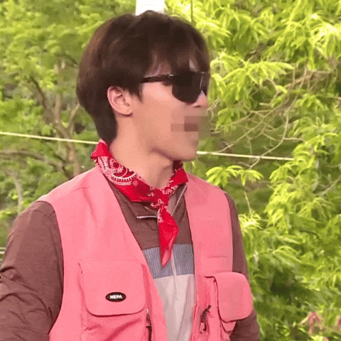 Lee Chan Dino GIF
