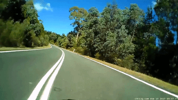 473586  GIF