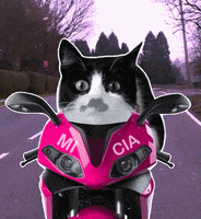 200.gif