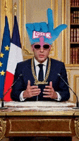 Macron GIF by systaime