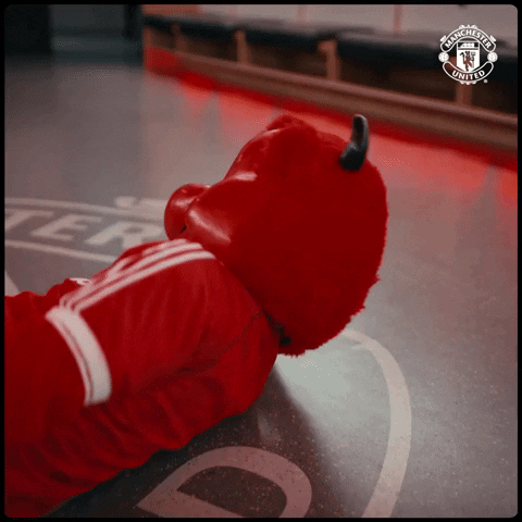 Football What GIF by Manchester United