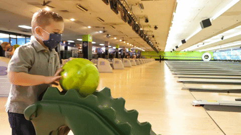 Bowling Ball GIFs - Find & Share on GIPHY