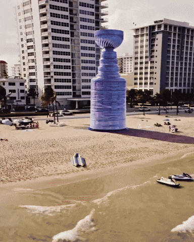 GIF by Florida Panthers