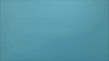 ludens84  GIF