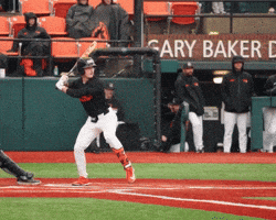 GIF by Oregon State Baseball