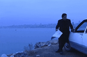 Kurtlar Vadisi Polat GIF