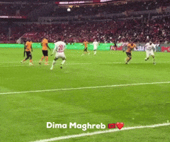 Morocco Dima Maghreb GIF