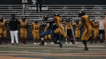 Womens Football Touchdown GIF by Women's National Football Conference