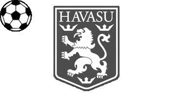 Havasu Lions FC Sticker