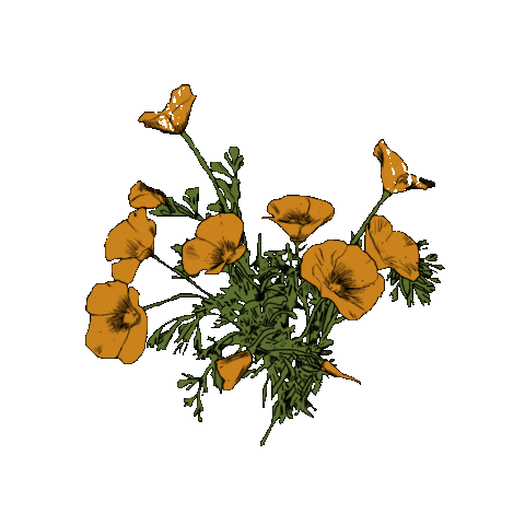 The Rare Occasions Sticker