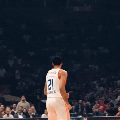 Crvena Zvezda Joel GIF