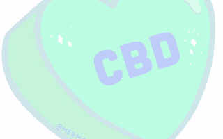 mermaidforyou.ca GIF