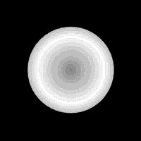 black and white pattern GIF by kidmograph