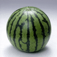 Watermelon Melon GIF