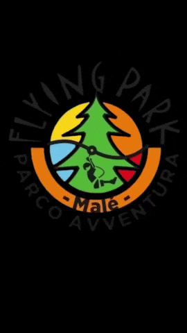 FLYING PARK GIF