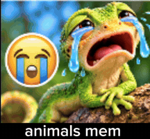 Mems GIF
