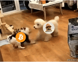 To The Moon Nft GIF by Web3 Newswire
