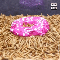 Ew Donut GIF by NowThis